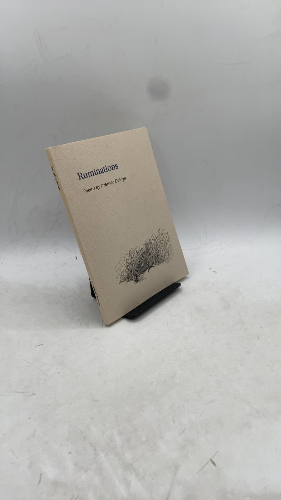Ruminations by Orlando Delogu - front cover