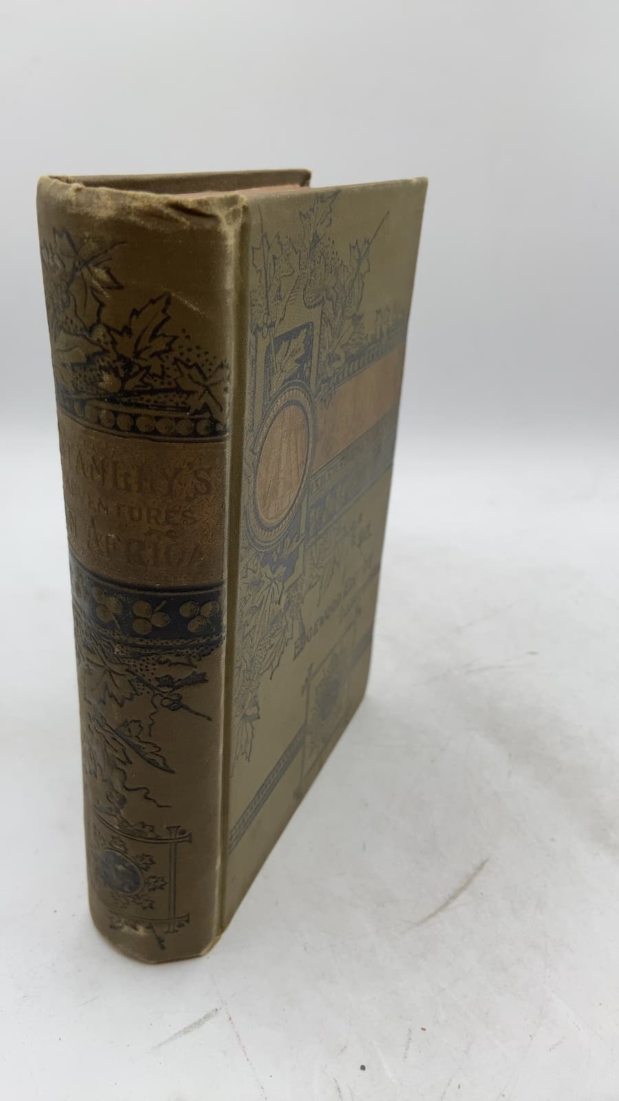Stanley's Adventures in the Wilds of Africa by Hon. J. T. Headley - front cover