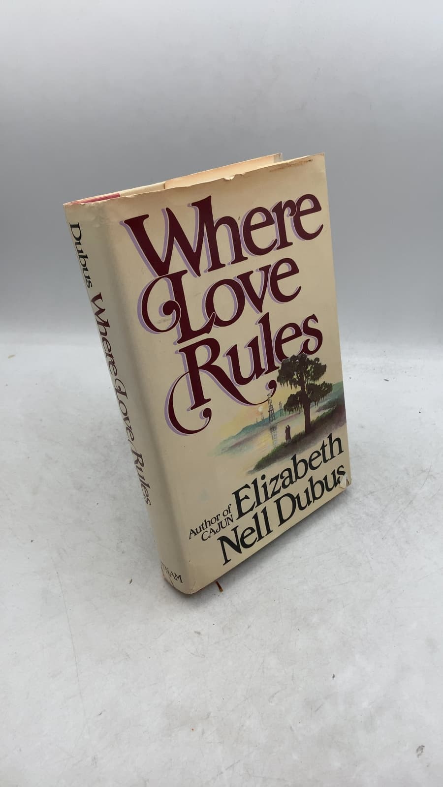 Where Love Rules by Elizabeth Nell Dubus - front cover