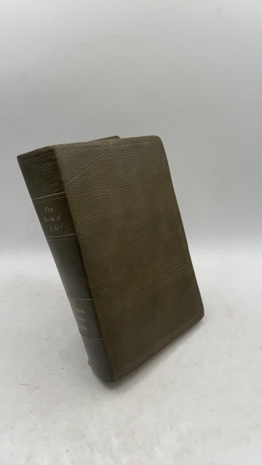 The System Bible Study by Many of the World's Greatest Bible Scholars - front cover