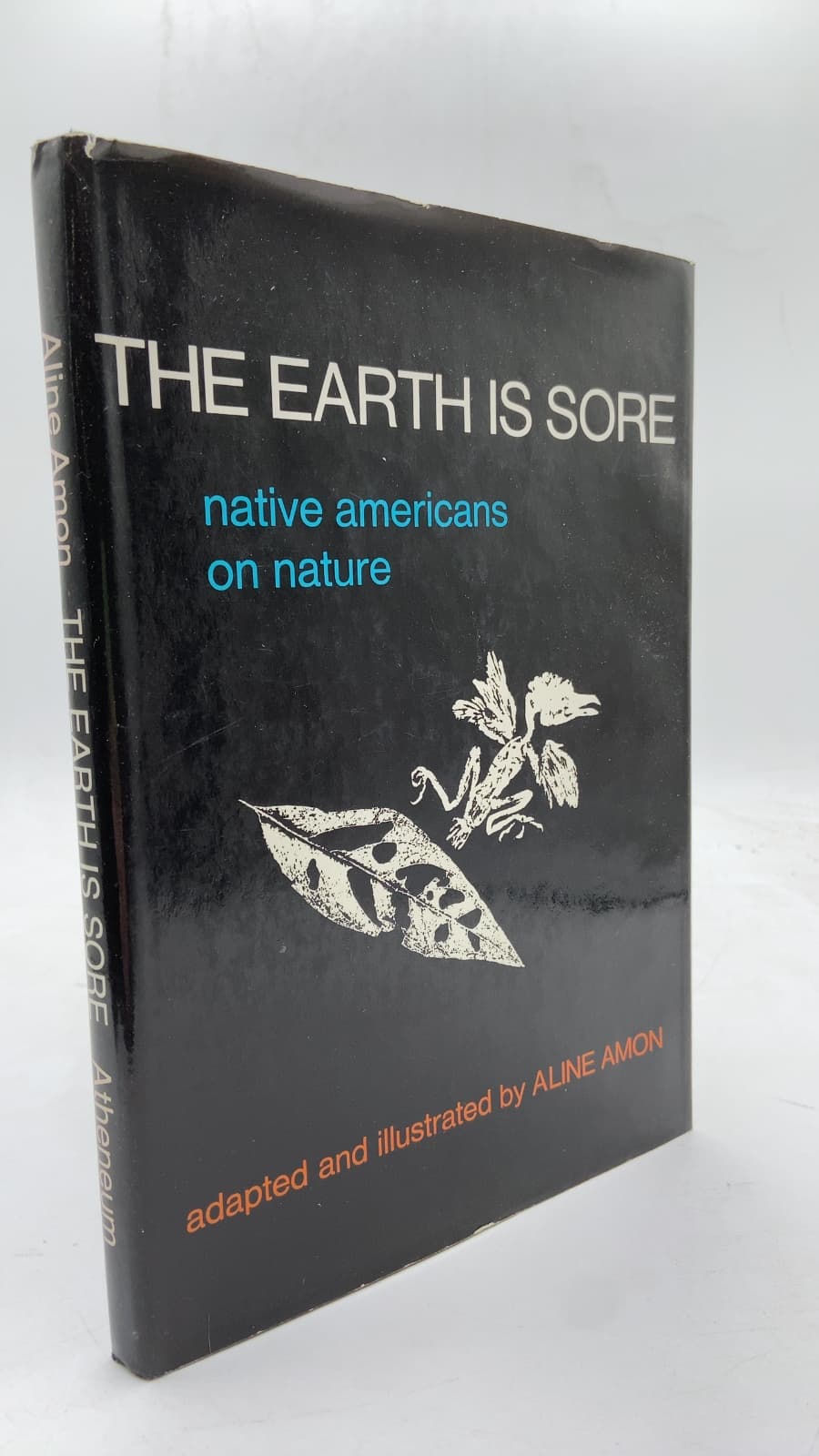 The Earth Is Sore: Native Americans on Nature by Aline Amon - front cover