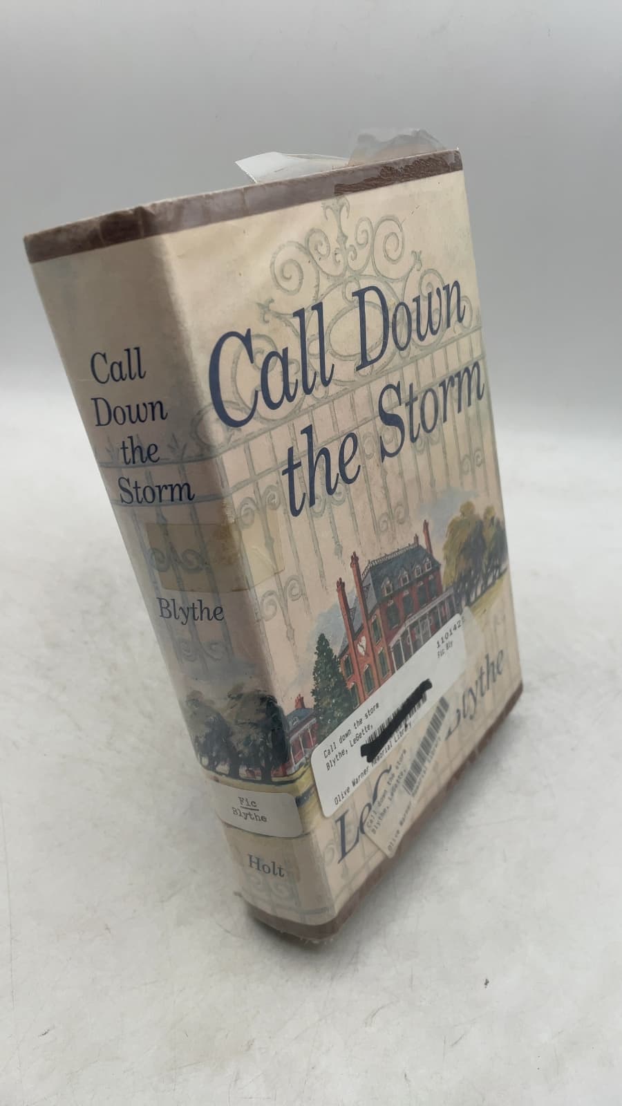 Call Down the Storm by LeGette Blythe - front cover