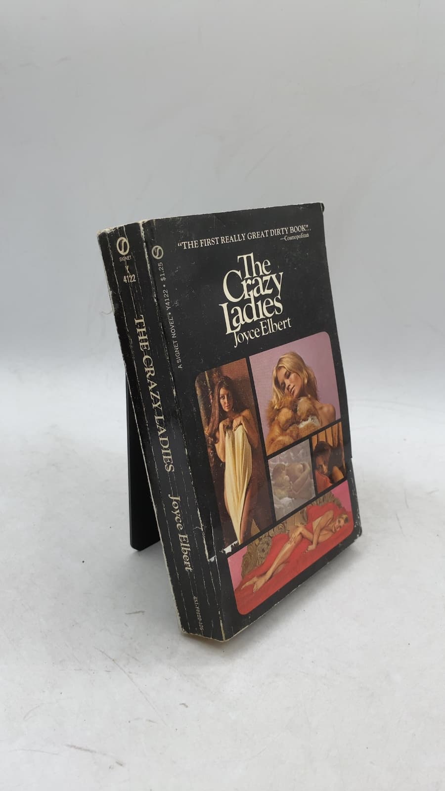 The Crazy Ladies by Joyce Elbert - front cover