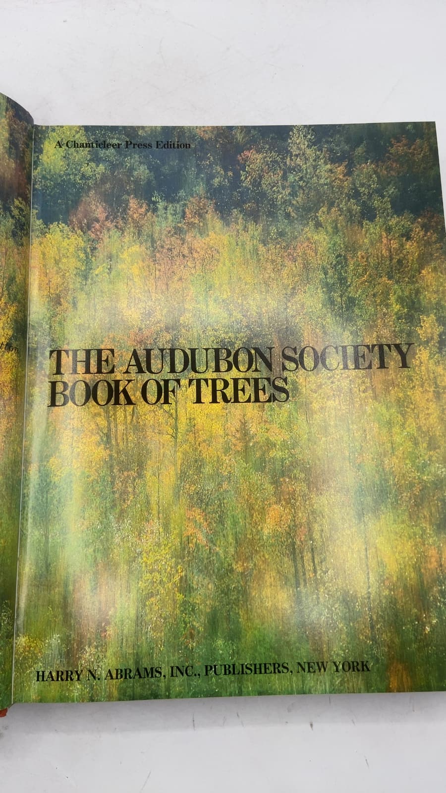 The Audubon Society Book of Trees by Les Line, Ann Sutton, Myron Sutton - title page