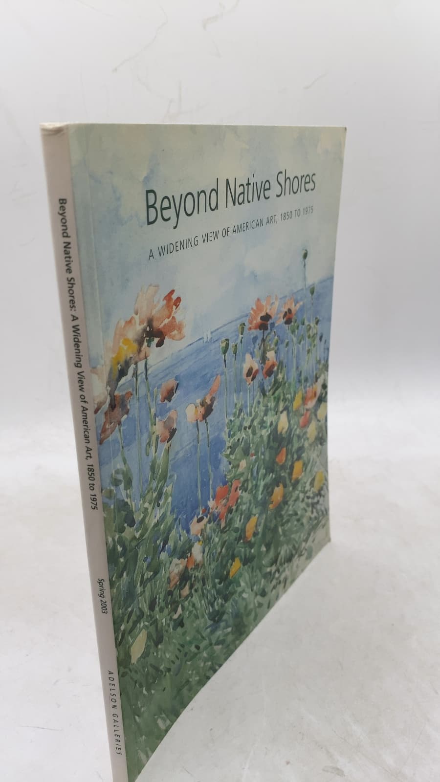 Beyond Native Shores: A Widening View of American Art, 1850 to 1975 by Warren Adelson - front cover