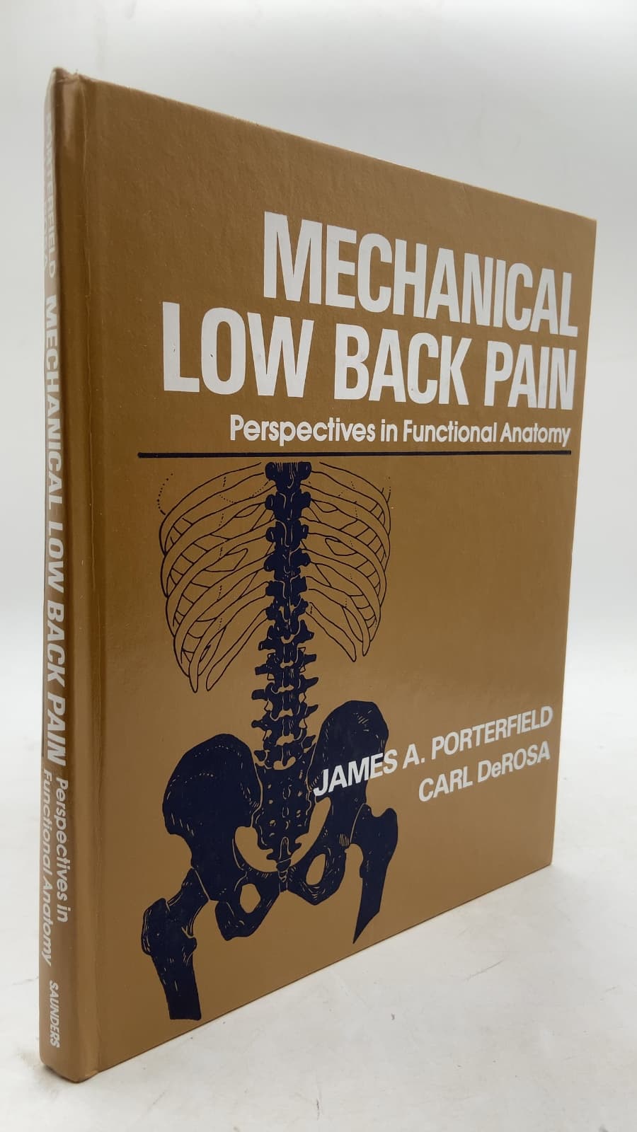 MECHANICAL LOW BACK PAIN: Perspectives in Functional Anatomy by James A. Porterfield, Carl DeRosa - front cover