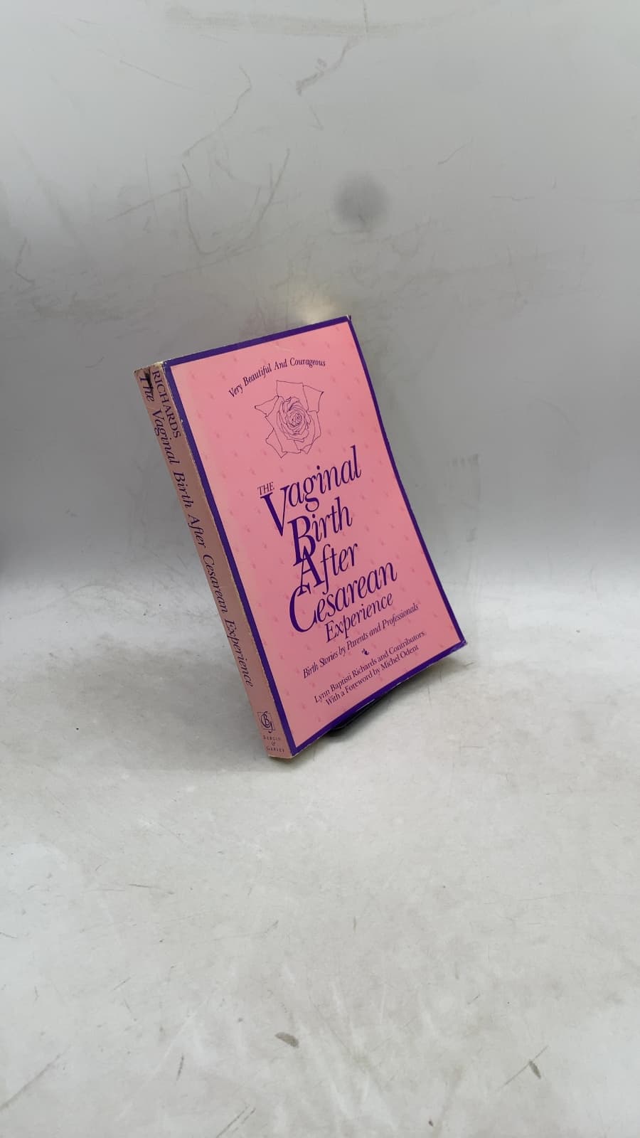The Vaginal Birth After Cesarean Experience: Birth Stories by Parents and Professionals by Lynn Baptisti Richards & Contributors - front cover