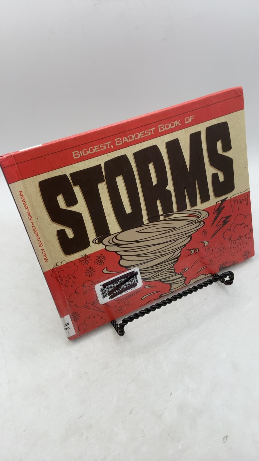 Biggest, Baddest Book of Storms by Mary Elizabeth Salzmann - front cover
