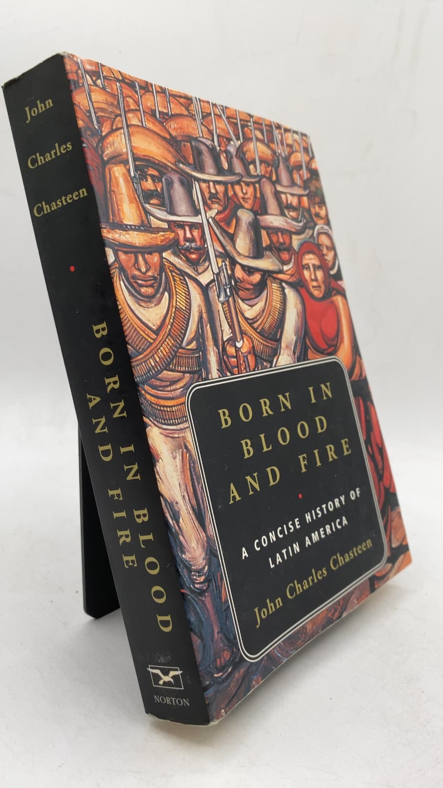 Born in Blood and Fire: A Concise History of Latin America by John Charles Chasteen - front cover