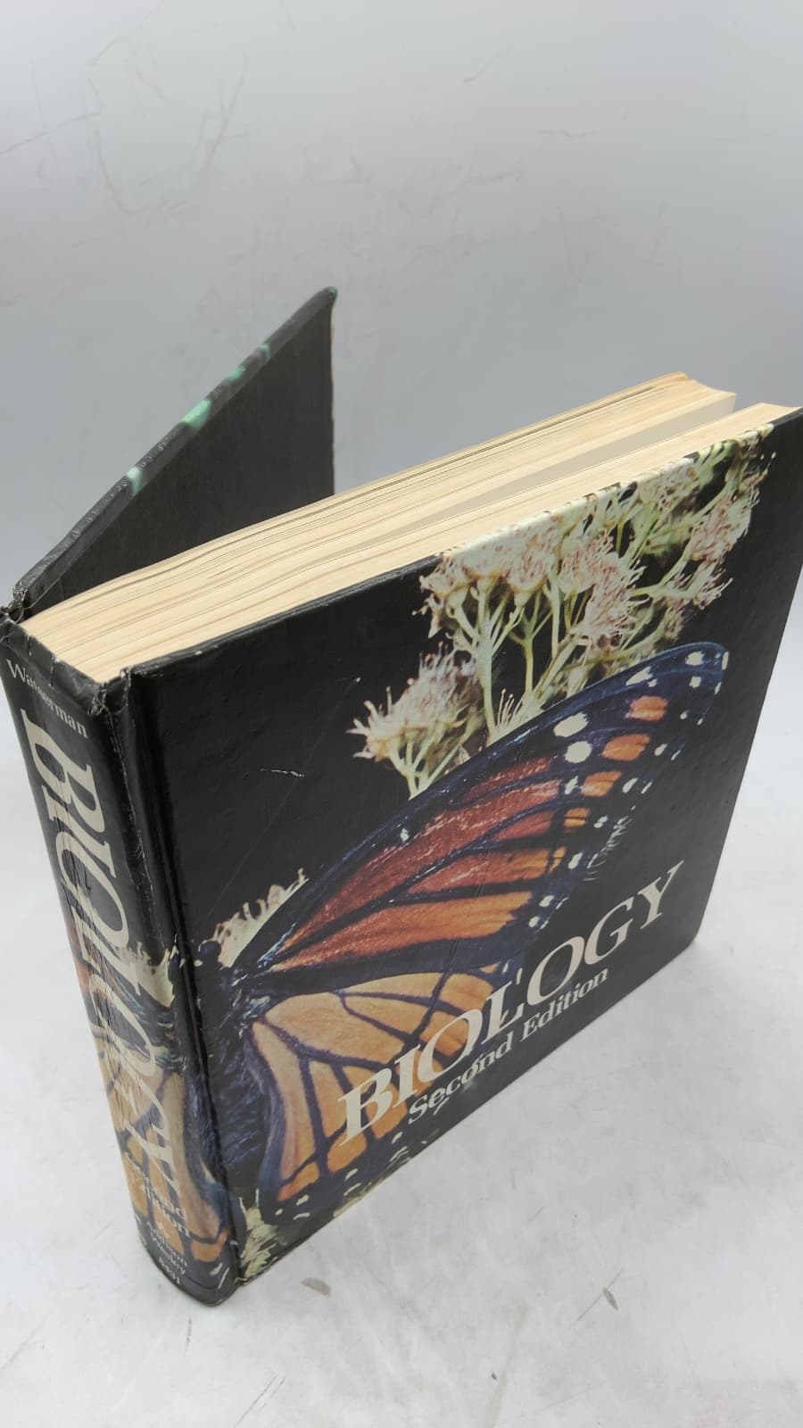 Biology, Second Edition by Aaron O. Wasserman - front cover