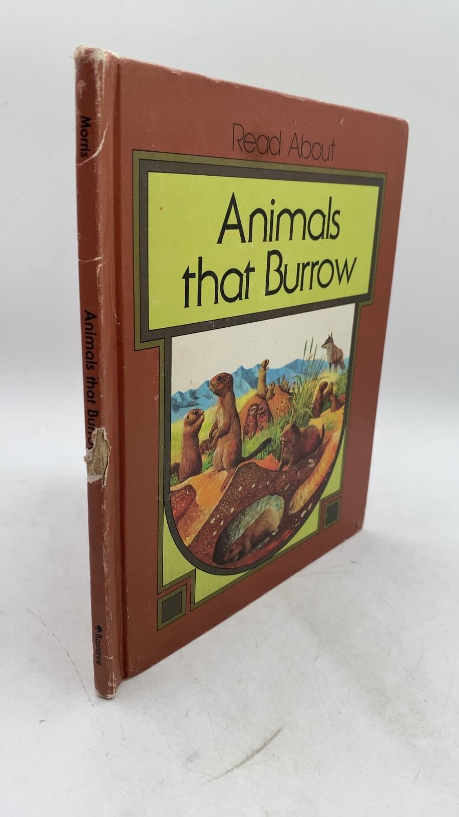Animals that Burrow by Dean Morris - front cover