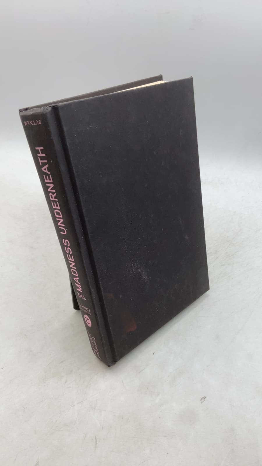 The Madness Underneath by Maureen Johnson - front cover