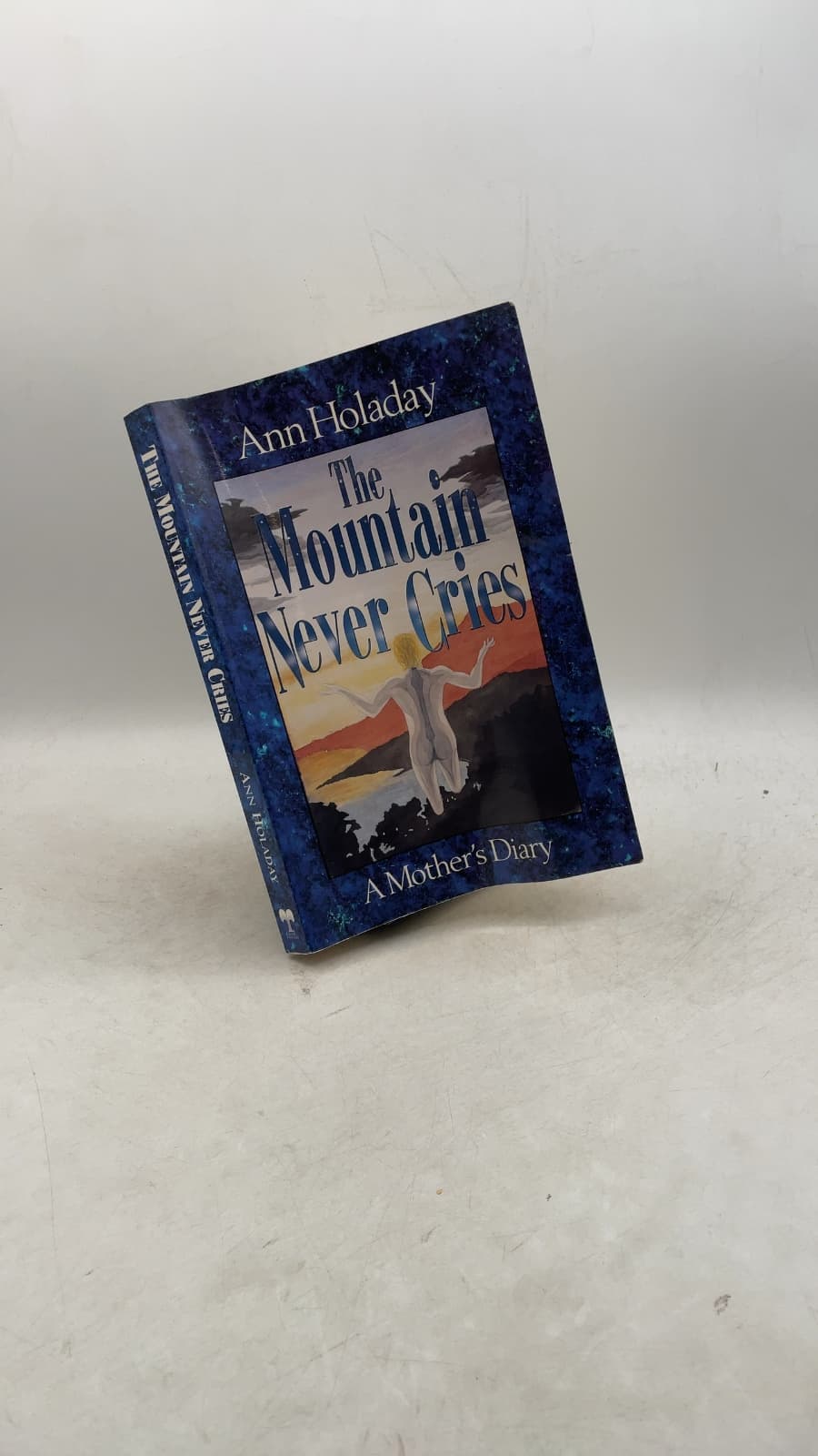 The Mountain Never Cries: A Mother's Diary by Ann Holaday - front cover