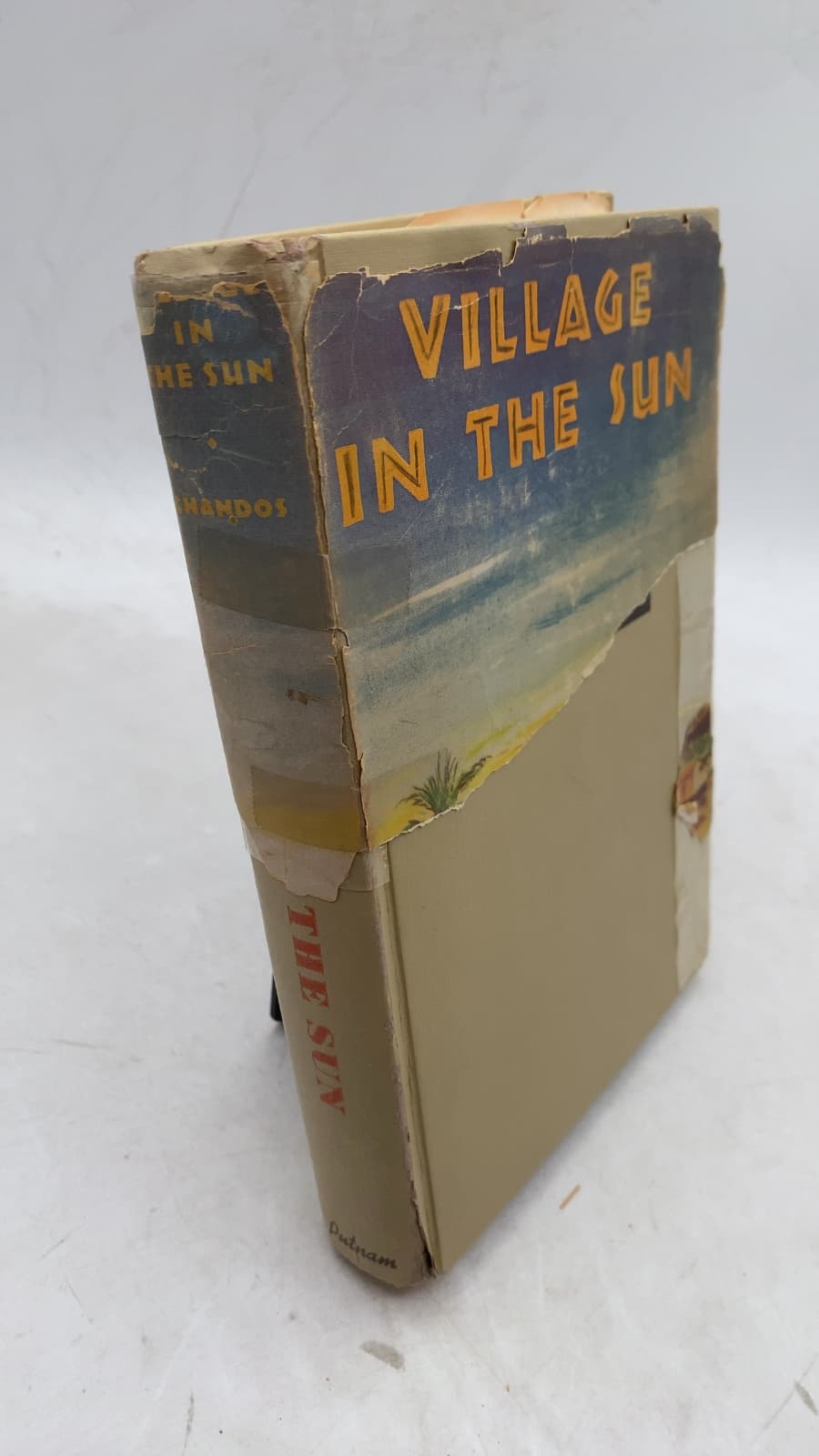 Village in the Sun by Dane Chandos - front cover