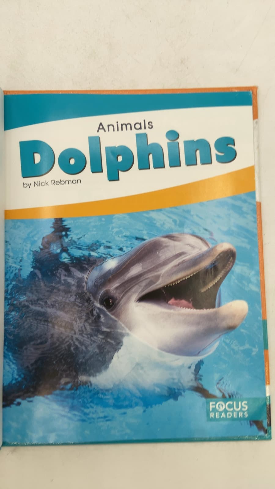 Dolphins by Nick Rebman - title page