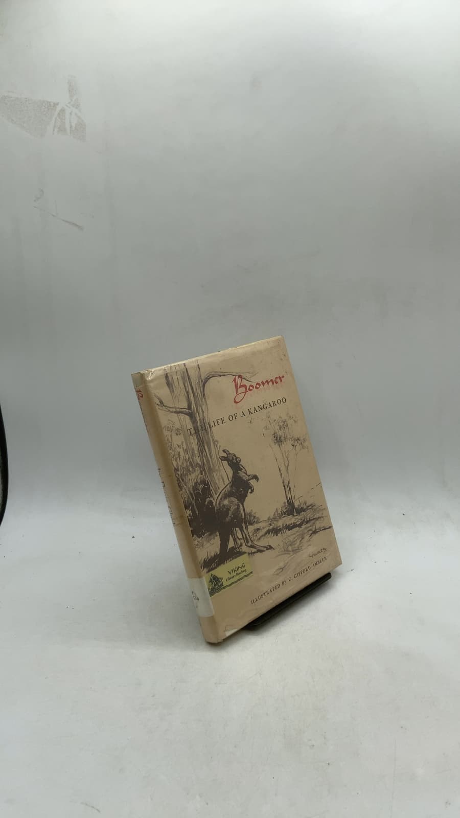Boomer: The Life of a Kangaroo by Denis Clark - front cover