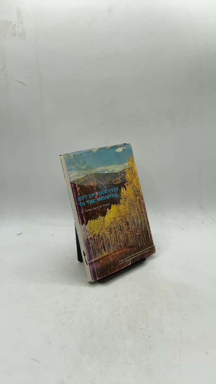 Lift Up Your Eyes to the Mountain: A Guide to the Spiritual Life by Father David M. Knight - front cover
