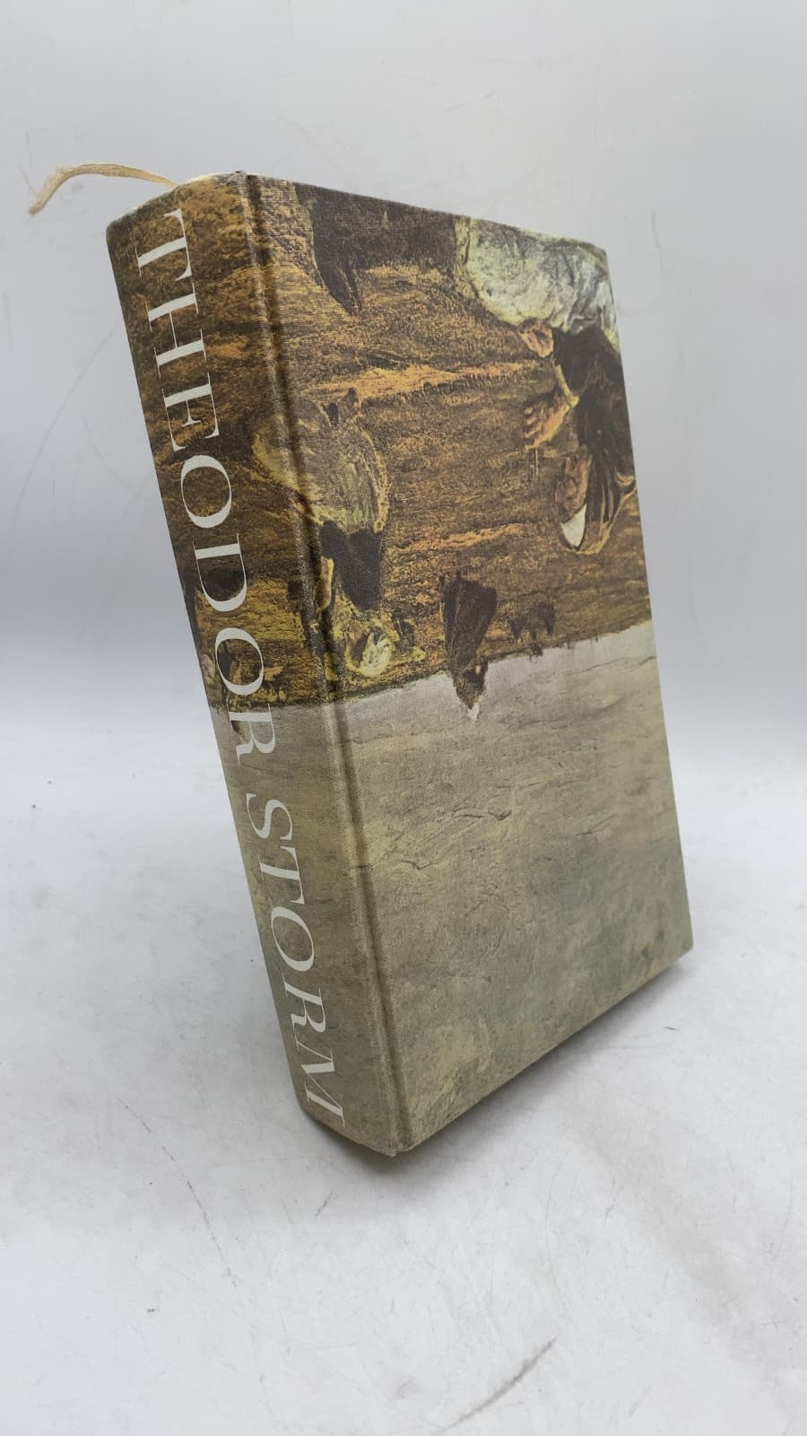 Am Grauen Meer Gesammelte Werke by Theodor Storm - front cover