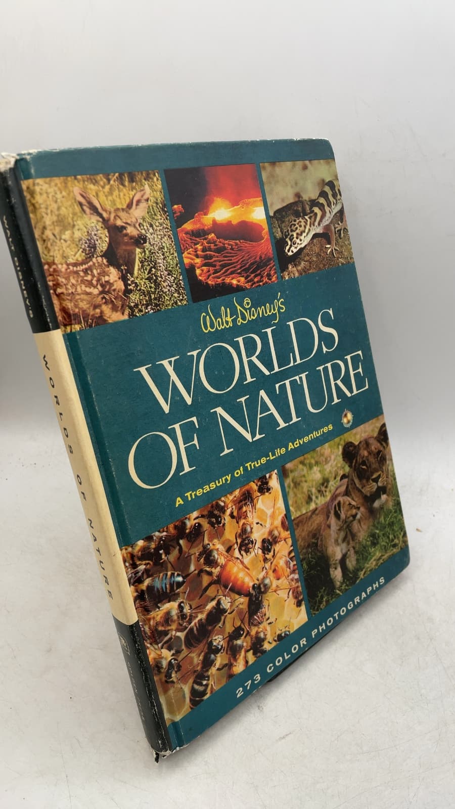 Walt Disney's Worlds of Nature: A Treasury of True-Life Adventures by Rutherford Platt and the Staff of the Walt Disney Studio - front cover