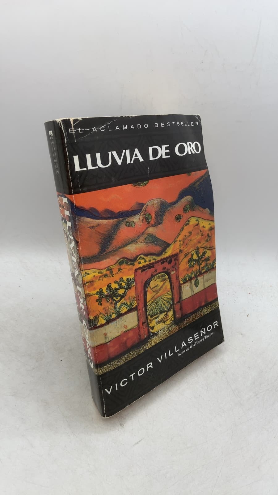 Lluvia DE ORO by Víctor Villaseñor - front cover