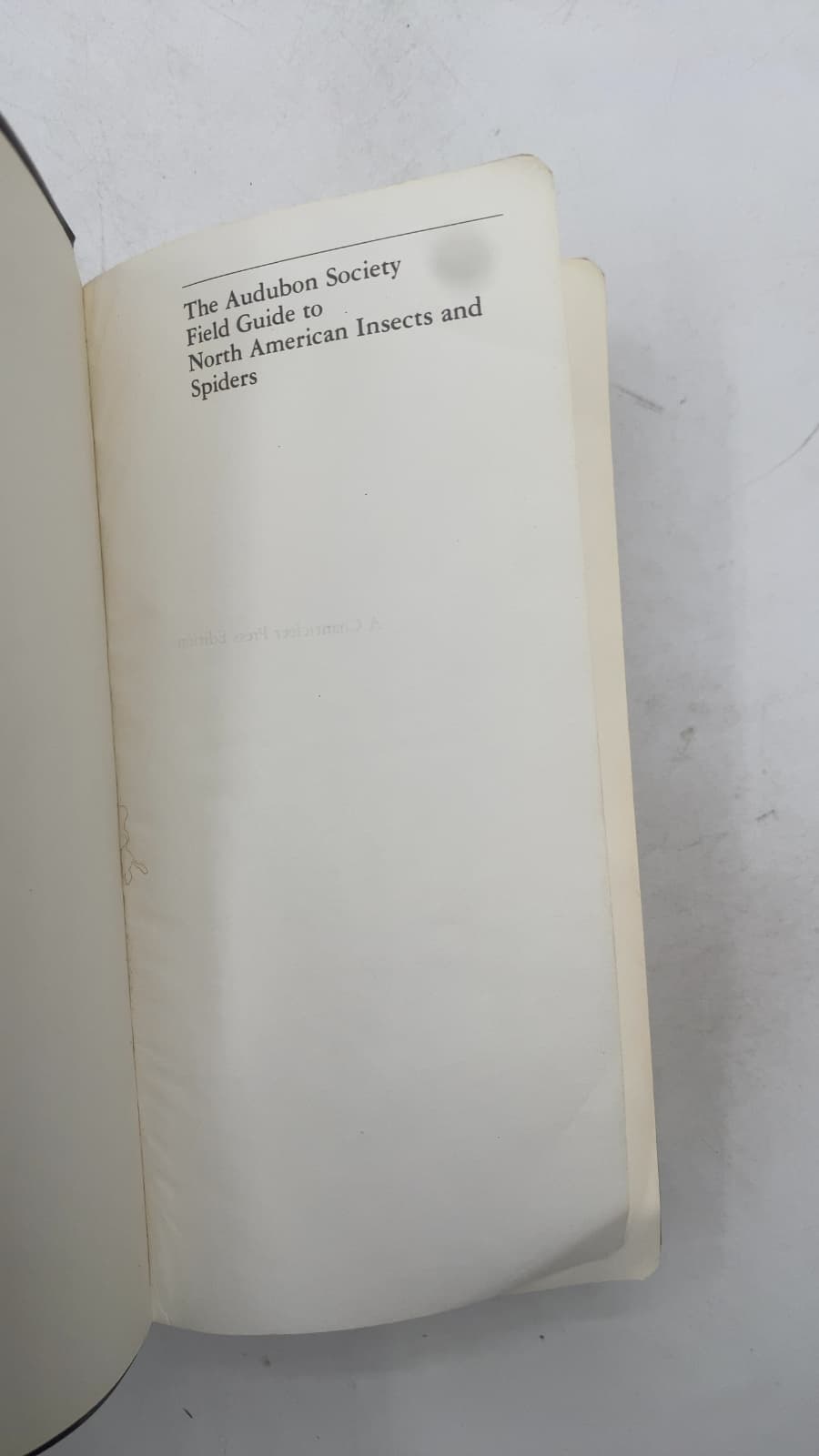 The Audubon Society Field Guide to North American Insects and Spiders by Lorus and Margery Milne - title page