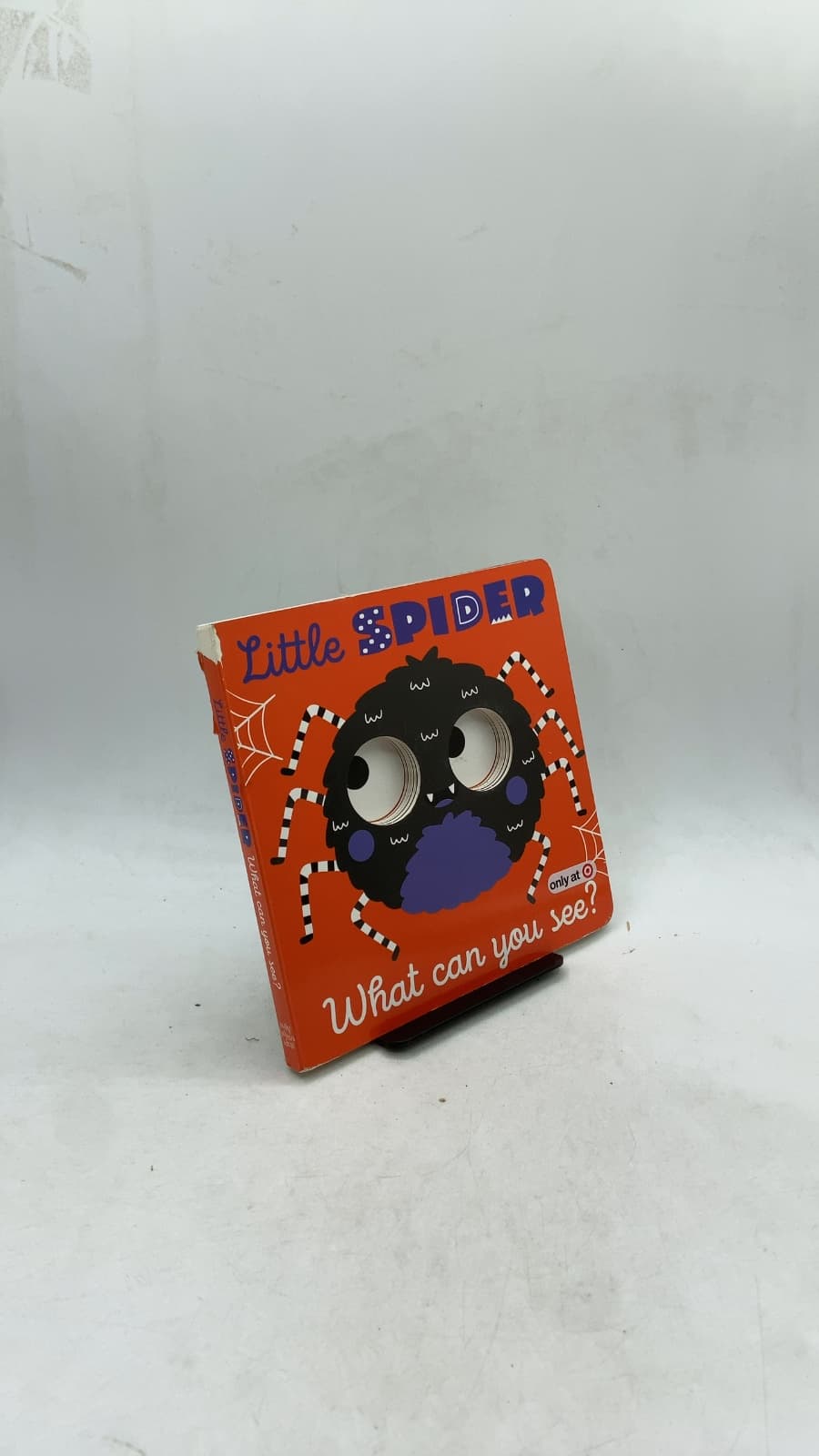 Little Spider: What can you see? - front cover