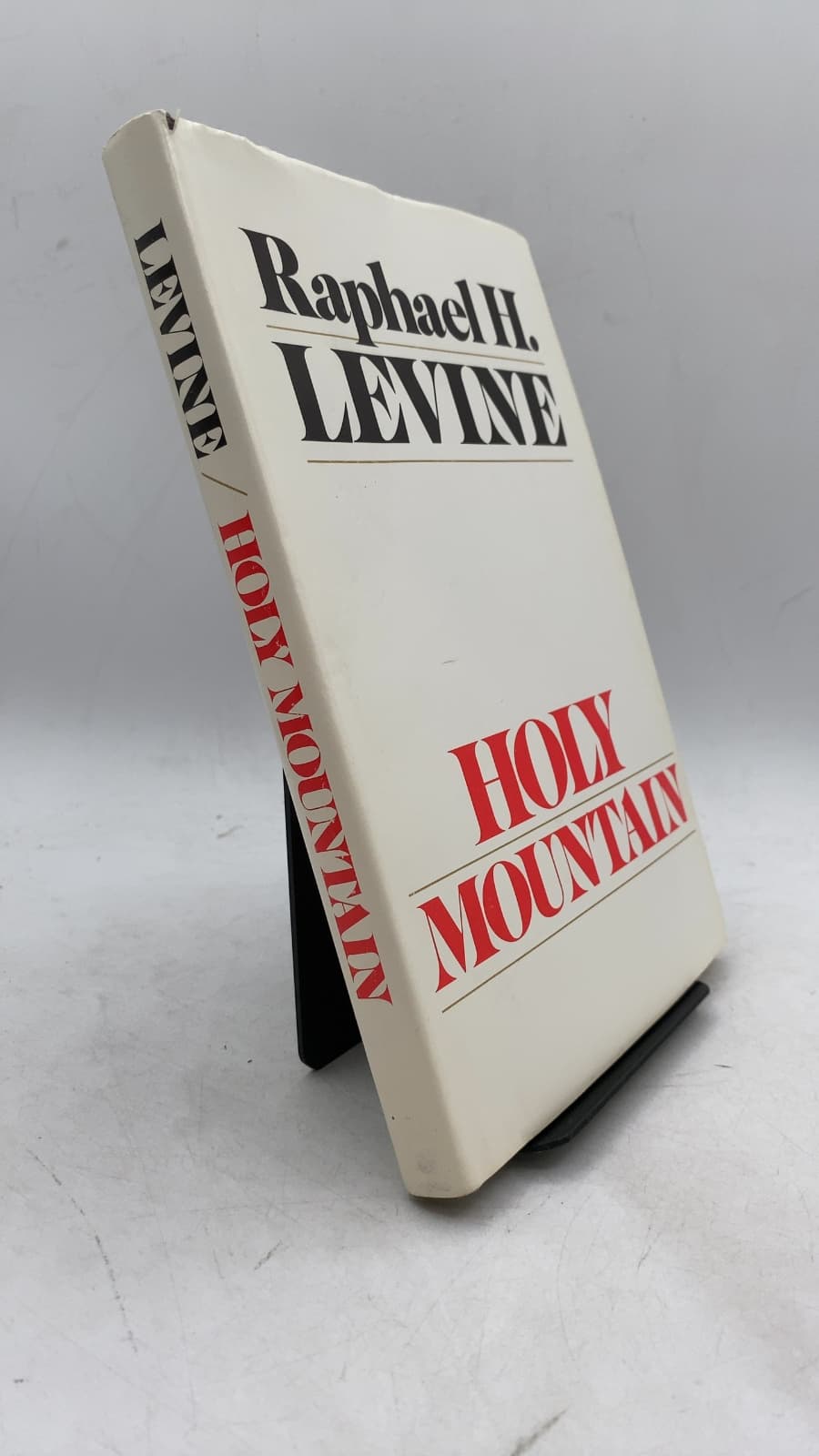 Holy Mountain by Raphael H. Levine - front cover