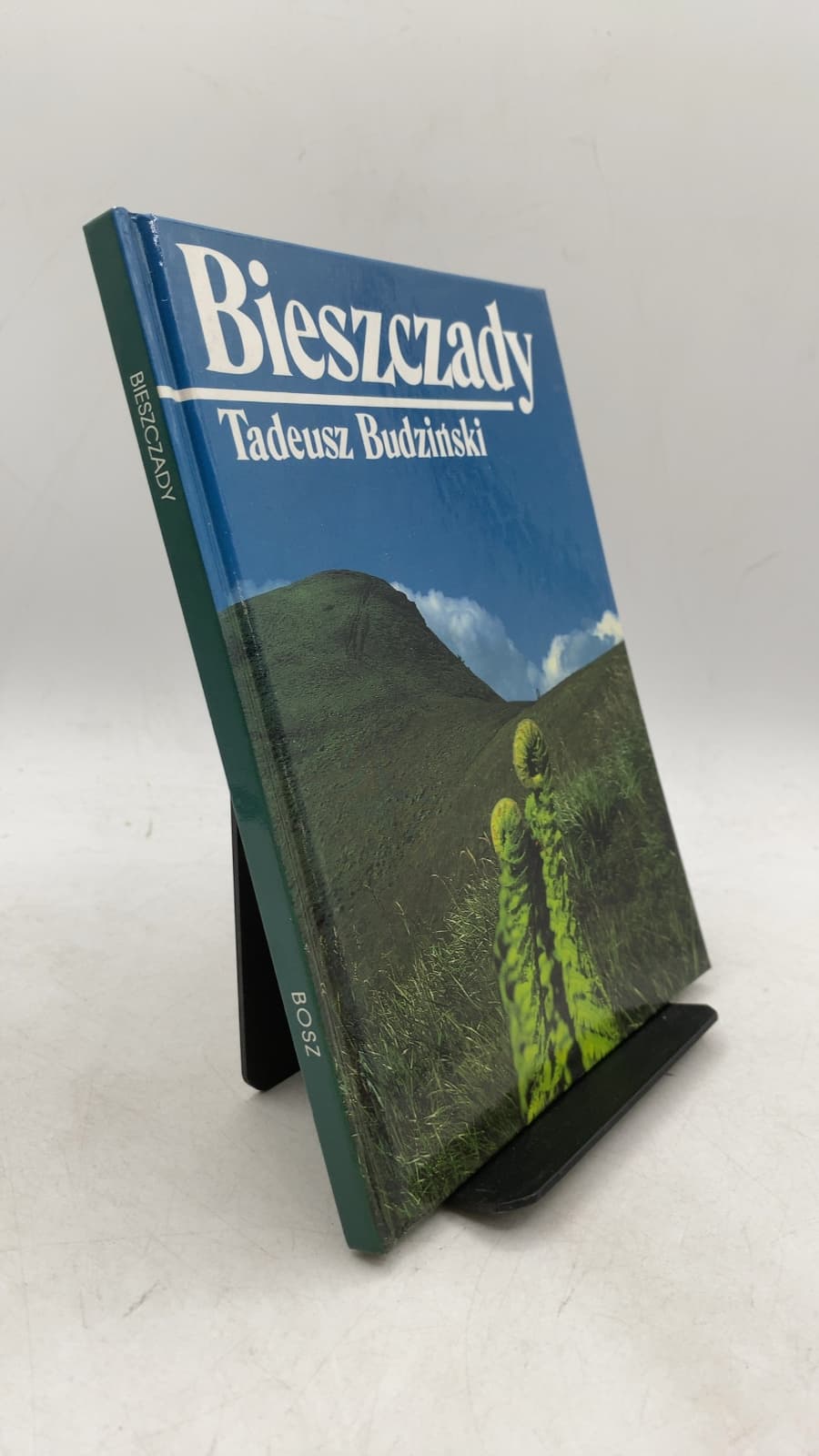 Bieszczady by Tadeusz Budziński - front cover