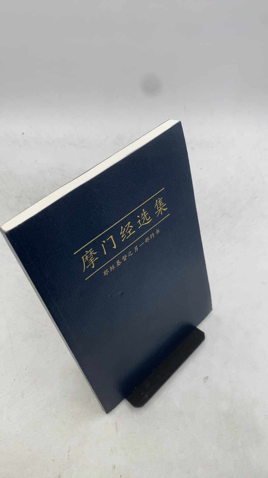 摩门经选集 (Selections from the Book of Mormon) - front cover