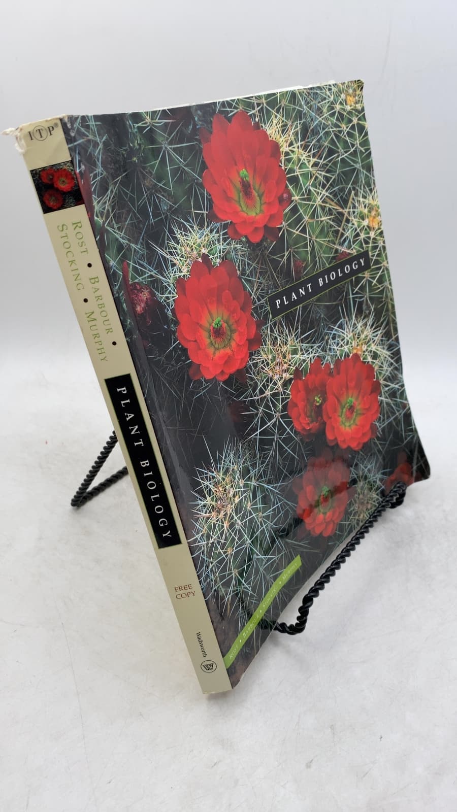 Plant Biology by Thomas L. Rost / Michael G. Barbour / C. Ralph Stocking / Terence M. Murphy - front cover