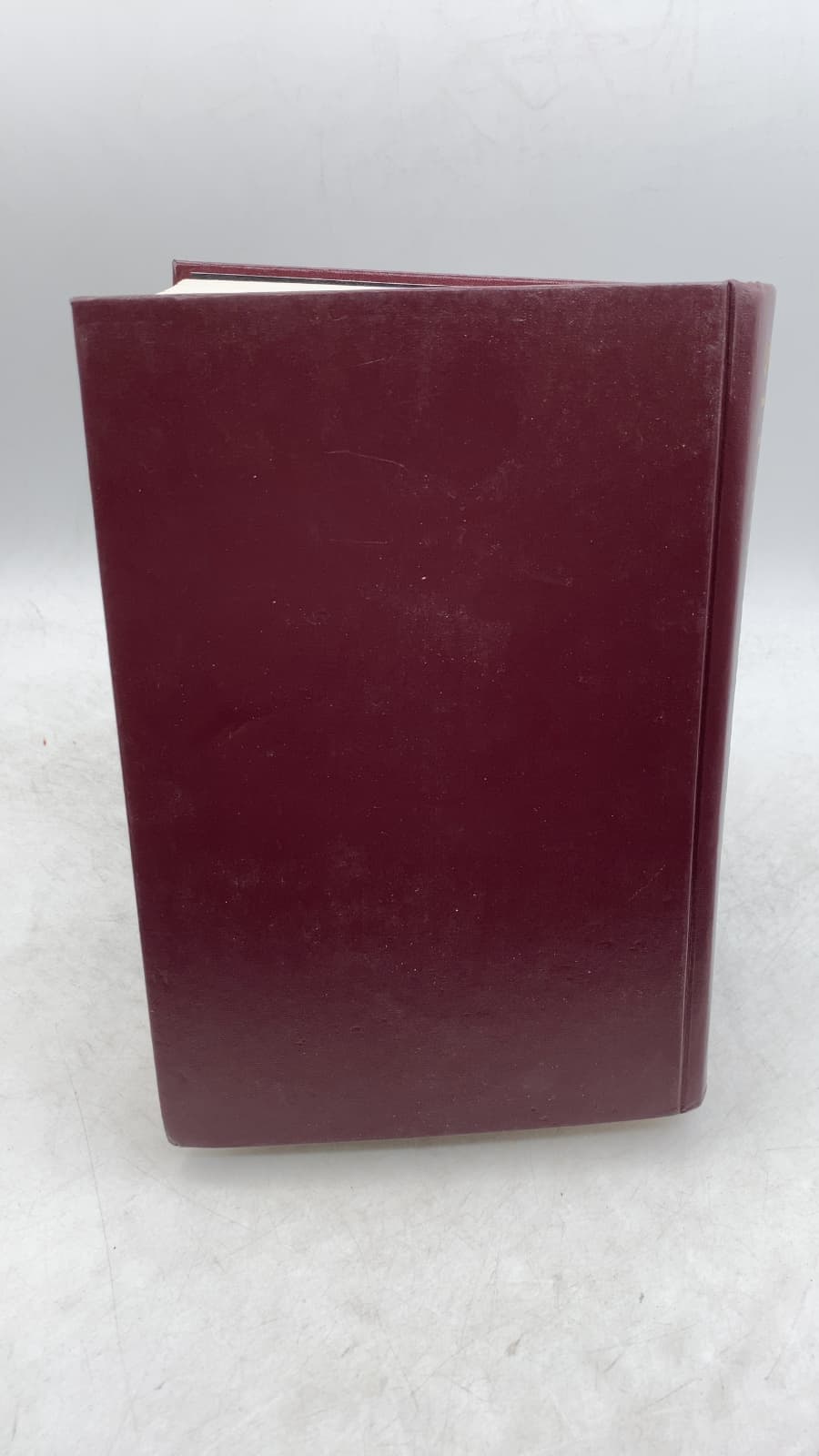 The HarperCollins Study Bible: New Revised Standard Version by Wayne A. Meeks - additional view
