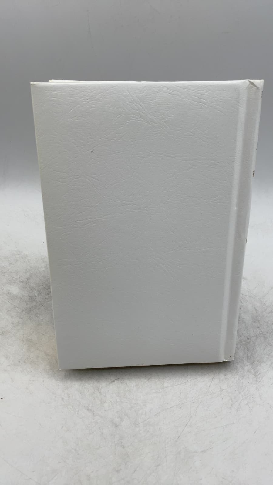 Holy Bible - additional view