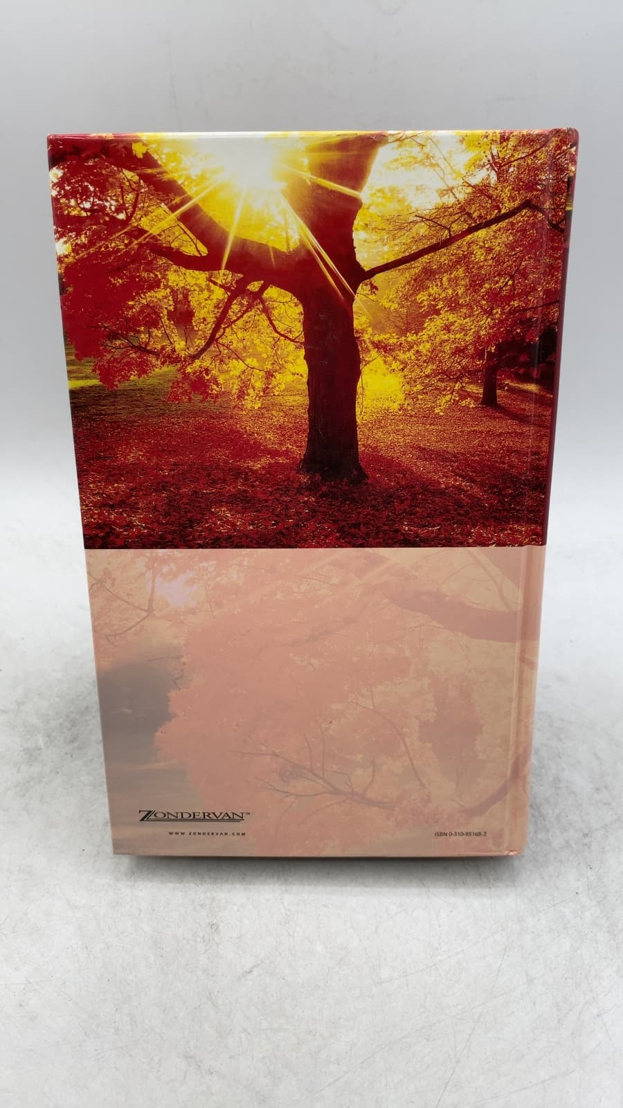 The Amplified Bible - additional view