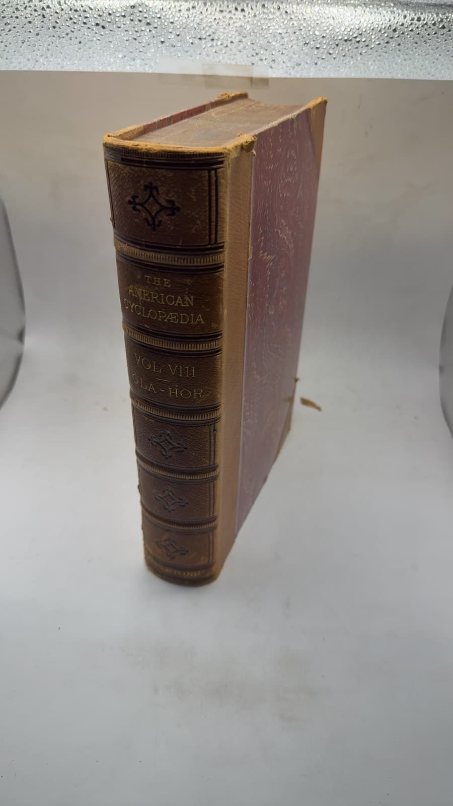 The American Cyclopaedia: A Popular Dictionary of General Knowledge Volume 8 by Edited by George Ripley and Charles A. Dana - front cover