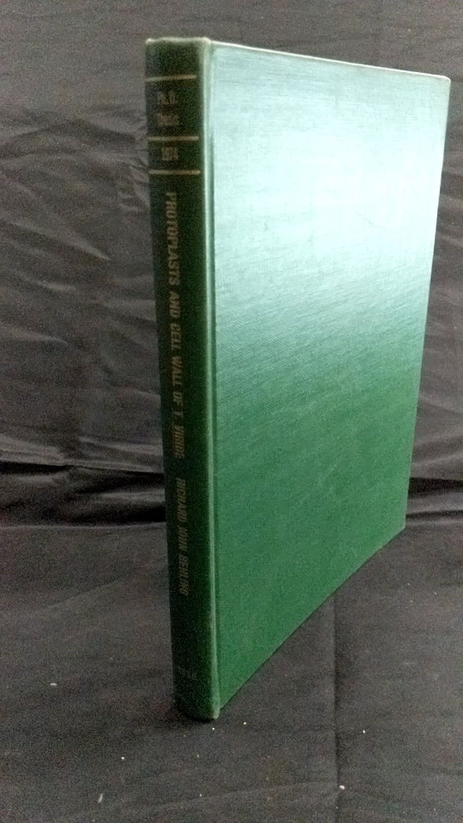 The Generation of Protoplasts and Composition of Cell Walls of the Fungus Trichoderma Viride by Richard John Behling - front cover