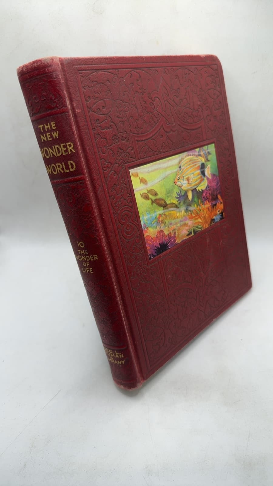 The New Wonder World - front cover