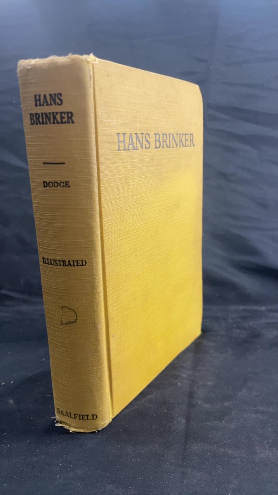 Hans Brinker or The Silver Skates by Mary Mapes Dodge - front cover