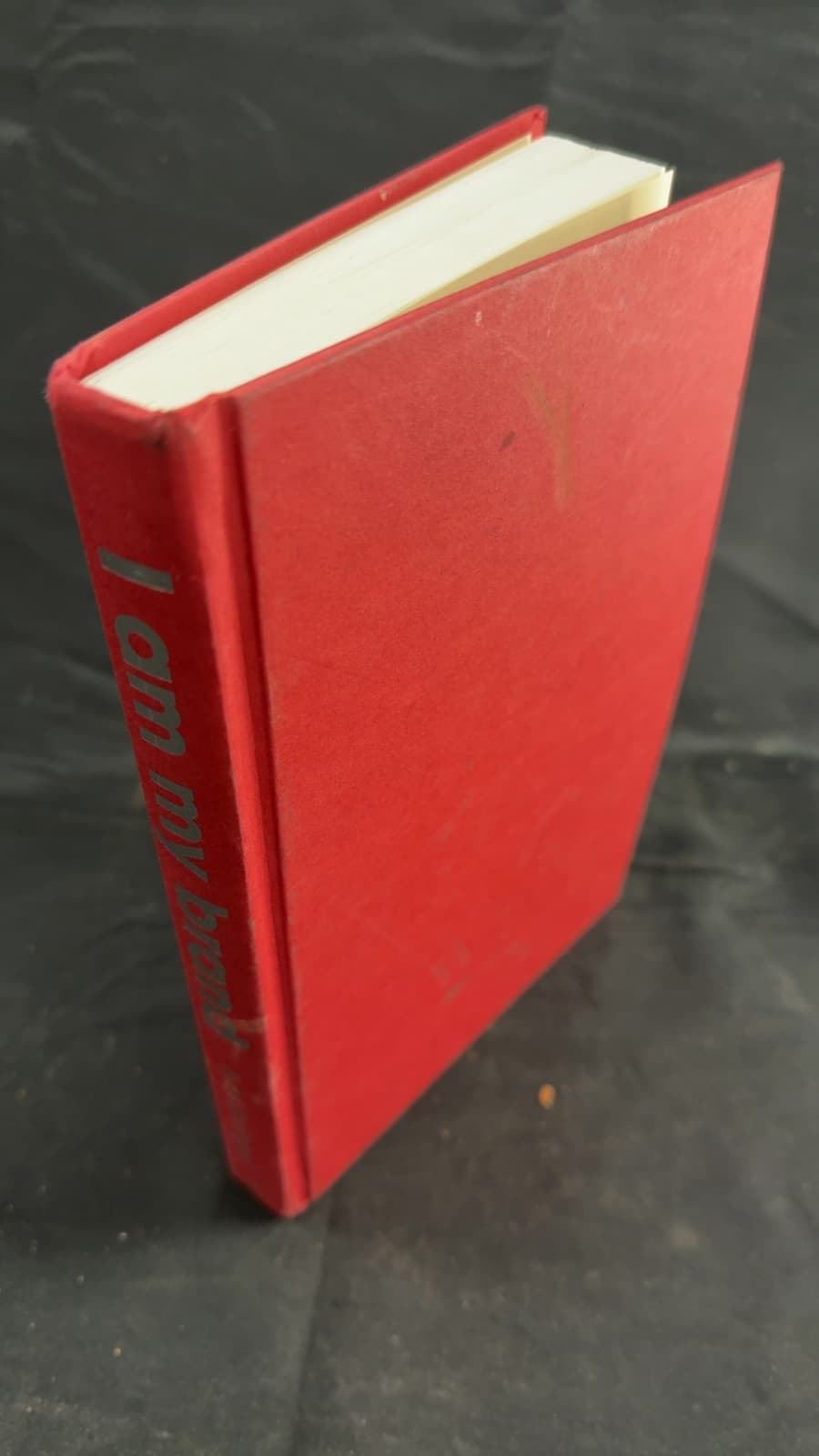 I Am My Brand: How to build your brand without apology by Kubi Springer - front cover