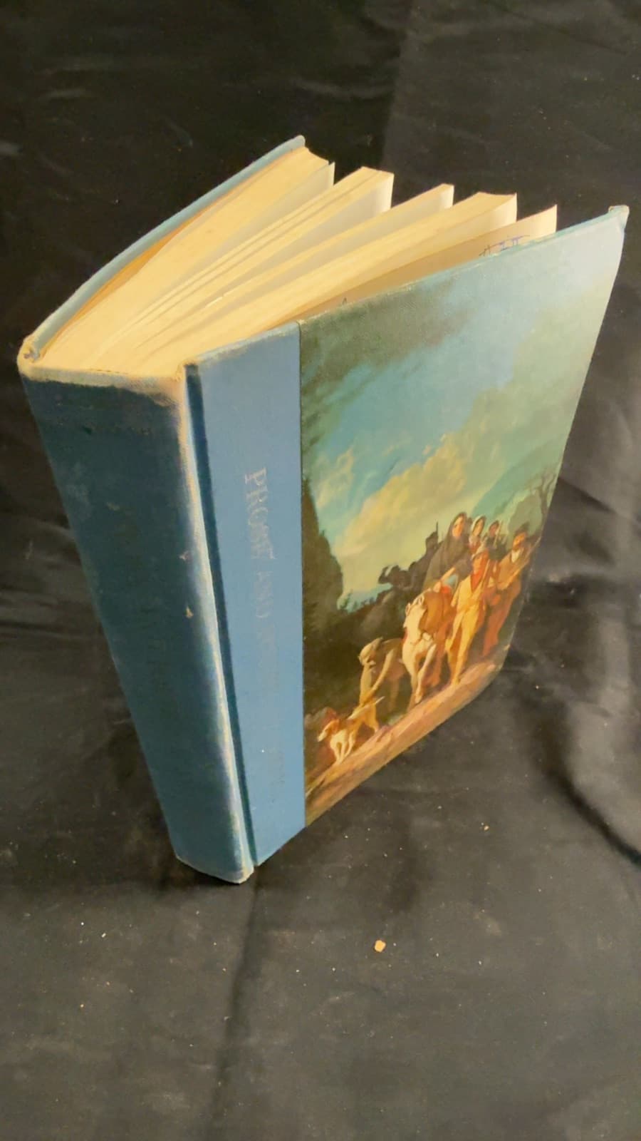 Prose and Poetry of America by Agnes L. McCarthy, Delmer Rodabaugh - front cover