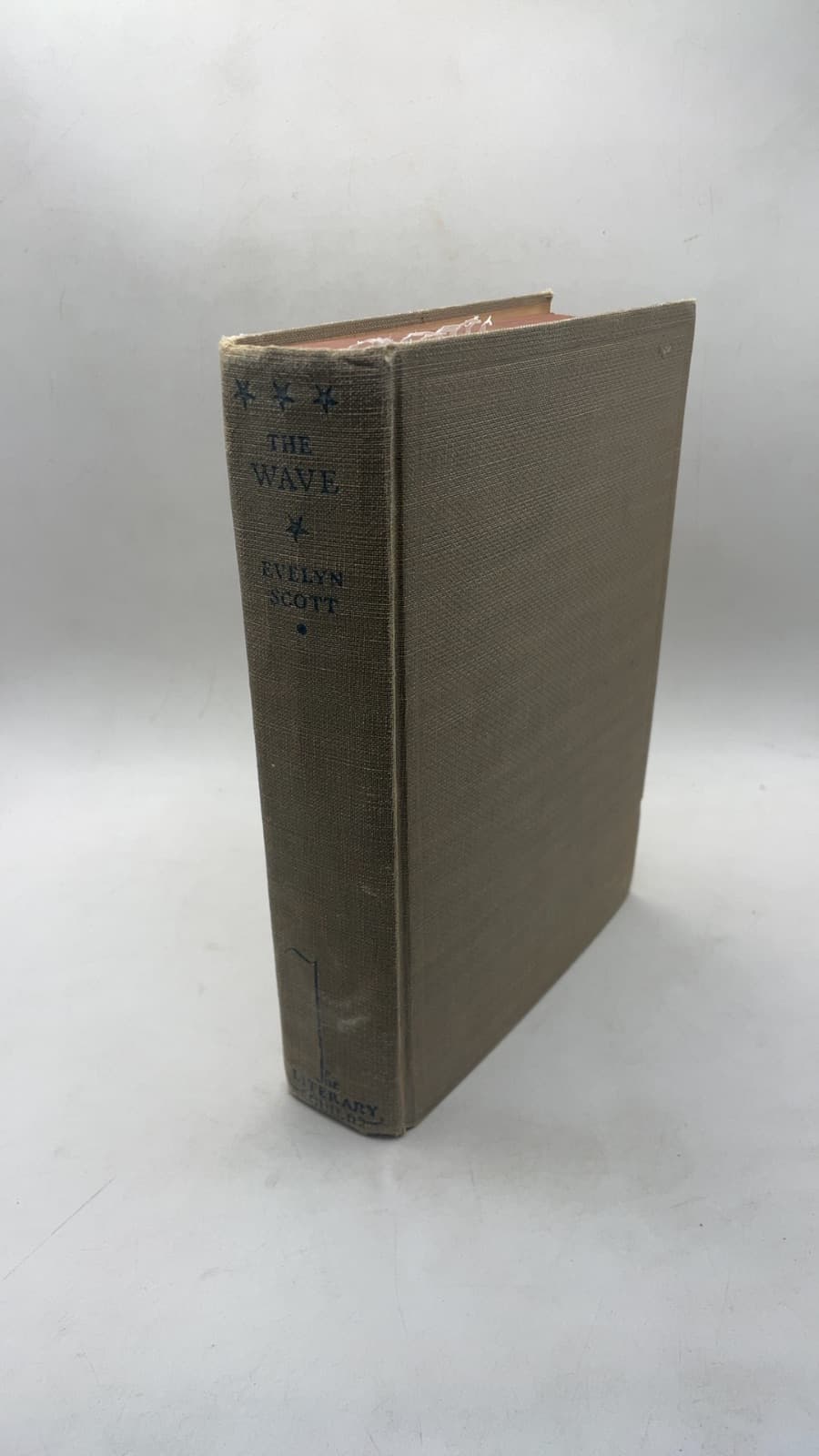 The Wave by Evelyn Scott - front cover