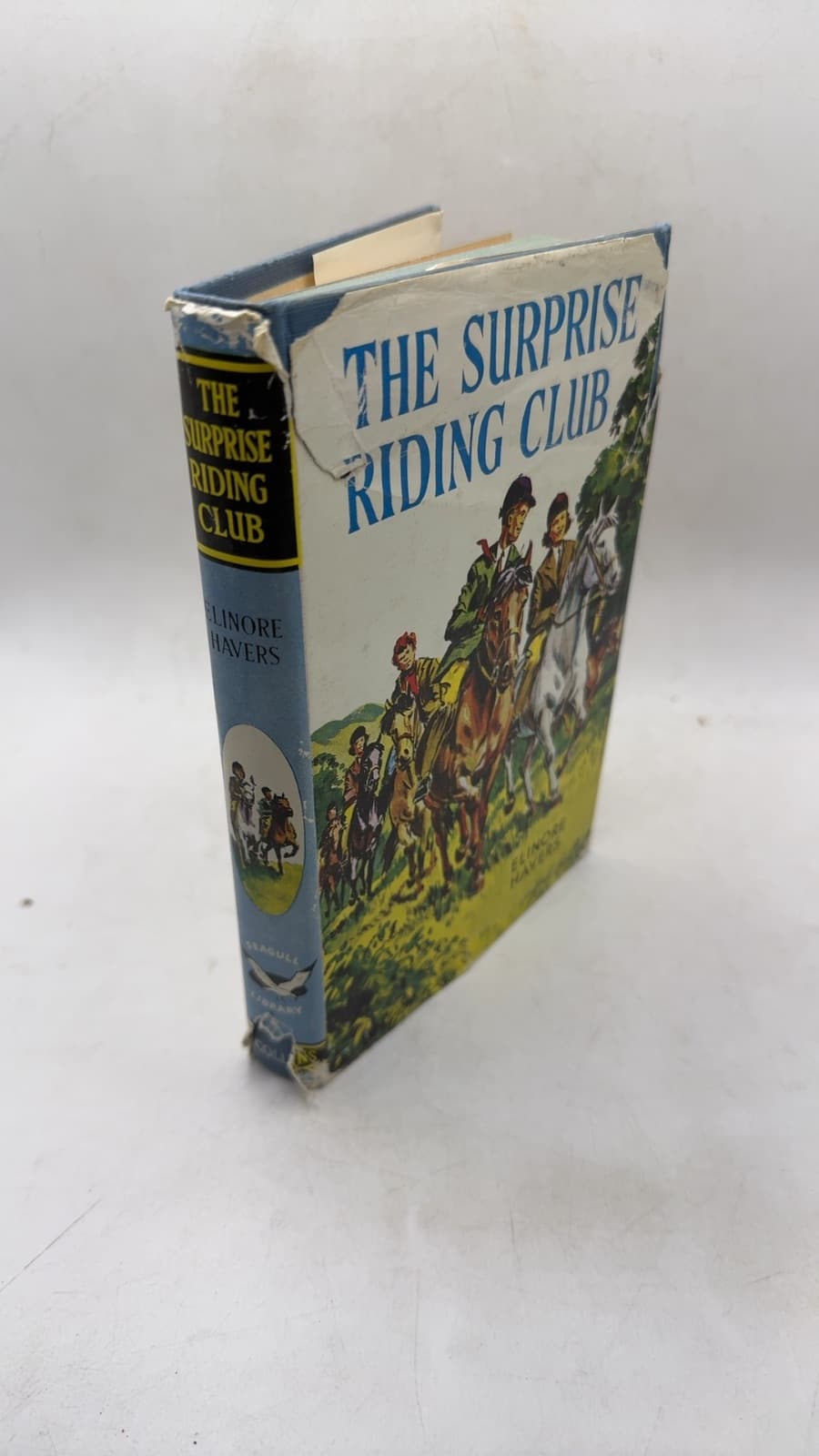 The Surprise Riding Club by Elinore Havers - front cover