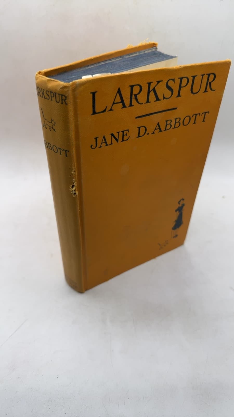 Larkspur by Jane D. Abbott - front cover