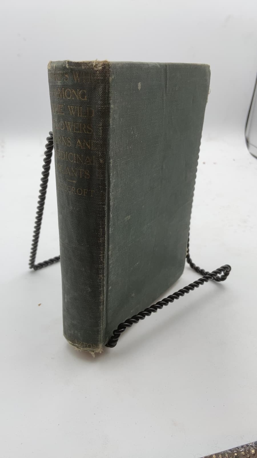 Who's Who Among the Wild Flowers and Ferns by W. I. Beecroft - front cover