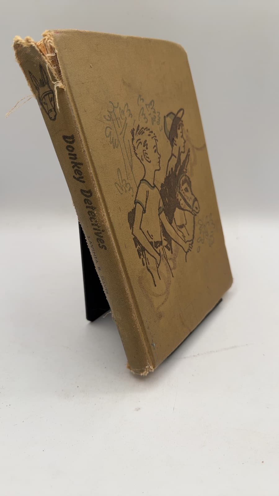 Donkey Detectives by Lavinia R. Davis - front cover