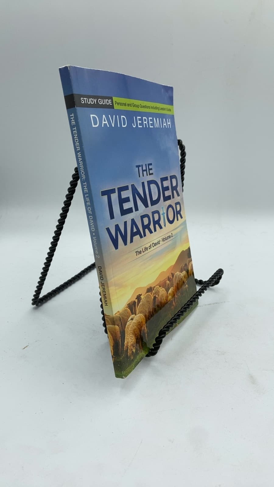 The Tender Warrior: The Life of David - Volume 2