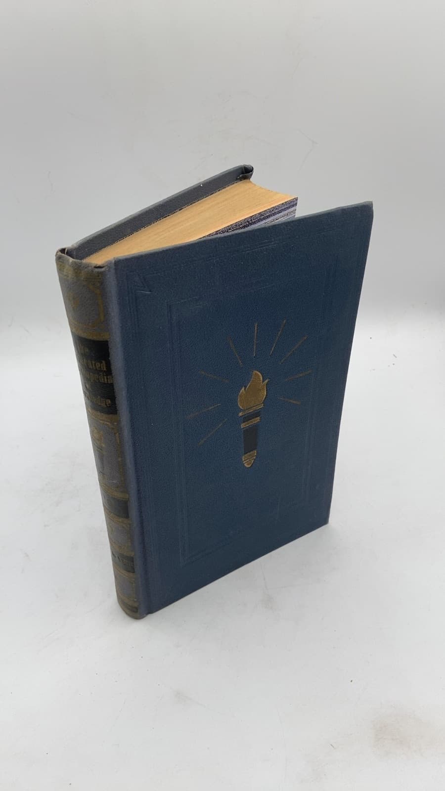 The Illustrated Encyclopedia of Knowledge