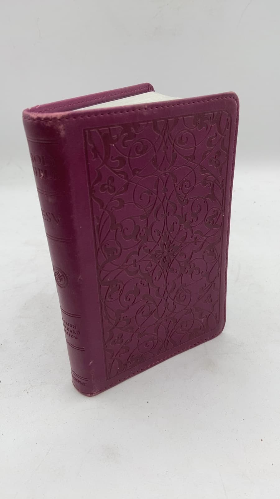 The Holy Bible: ESV - front cover