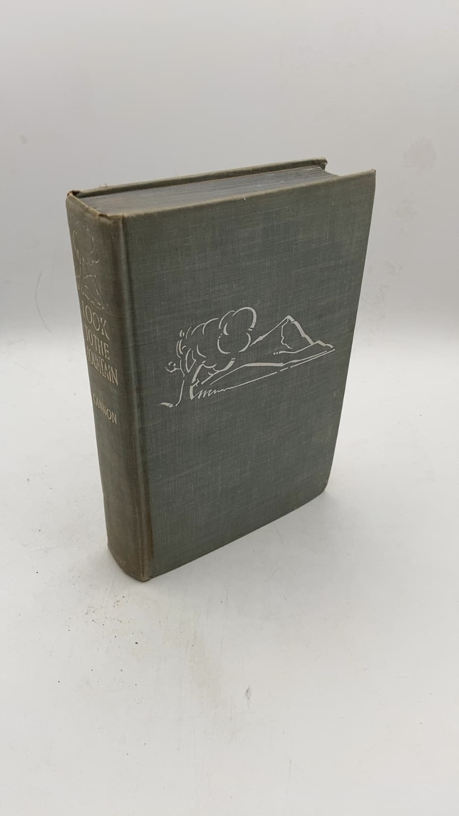 Look to the Mountain by LeGrand Cannon, Jr. - front cover