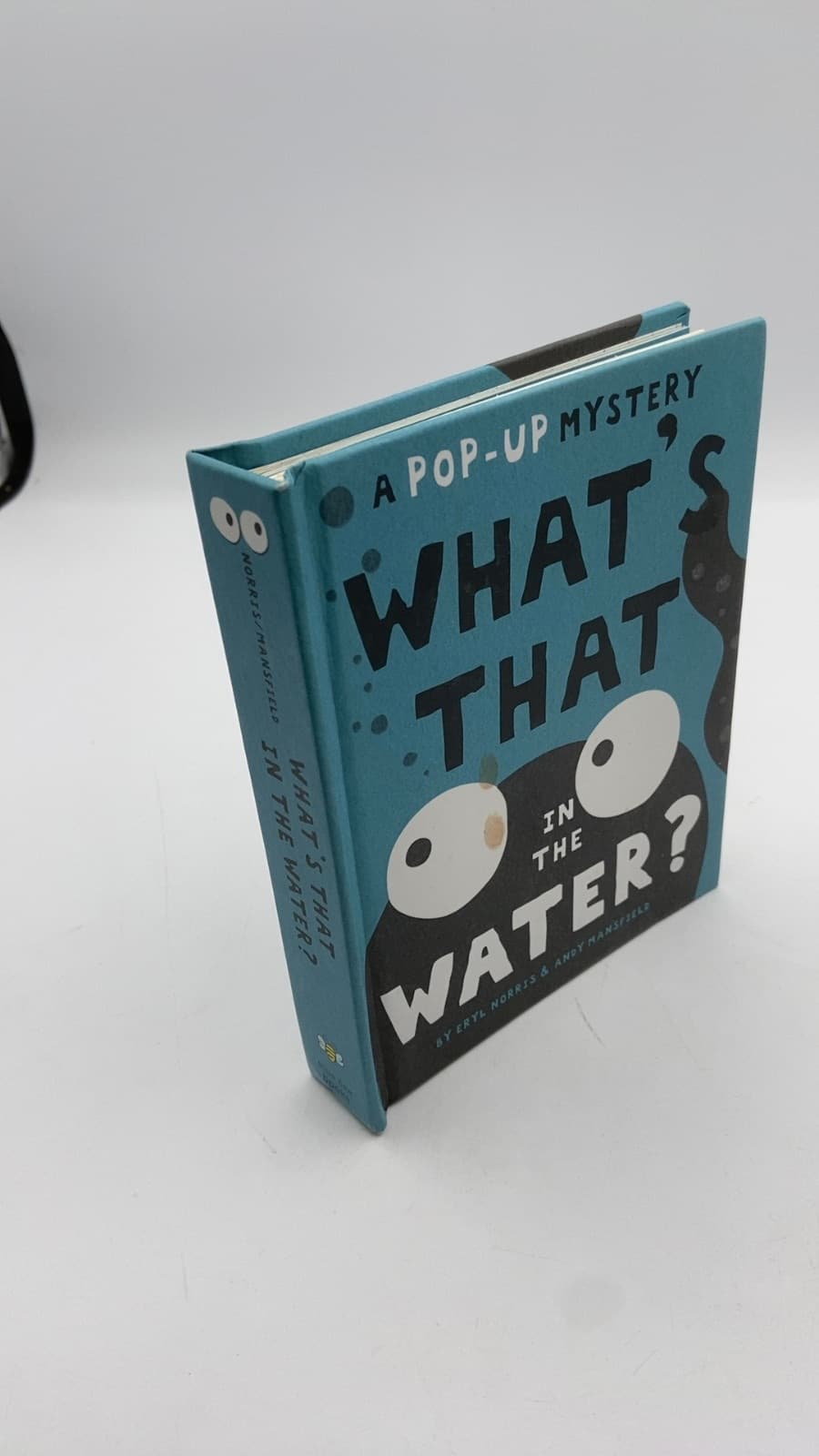 What's That in the Water? by Eryl Norris & Andy Mansfield - front cover