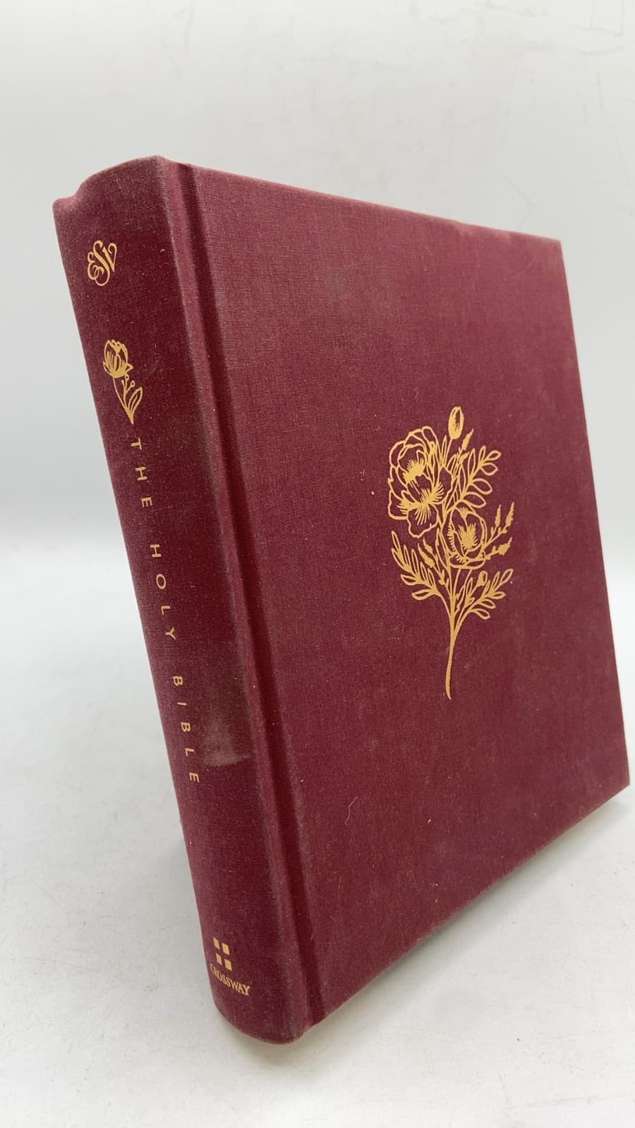 The Holy Bible: English Standard Version